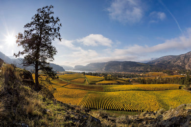 Okanagan Falls 001