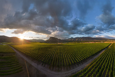 Okanagan Falls – Golden Hour